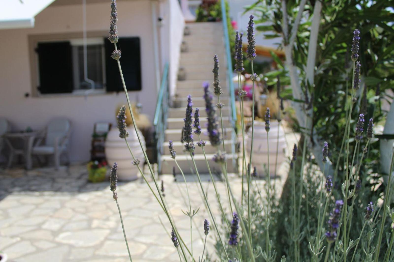 Fissas Rooms Sivota  Bagian luar foto